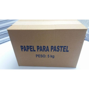 PAPEL PASTEL JORNAL C/05KG